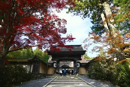 Day 9: Koyasan, Osaka