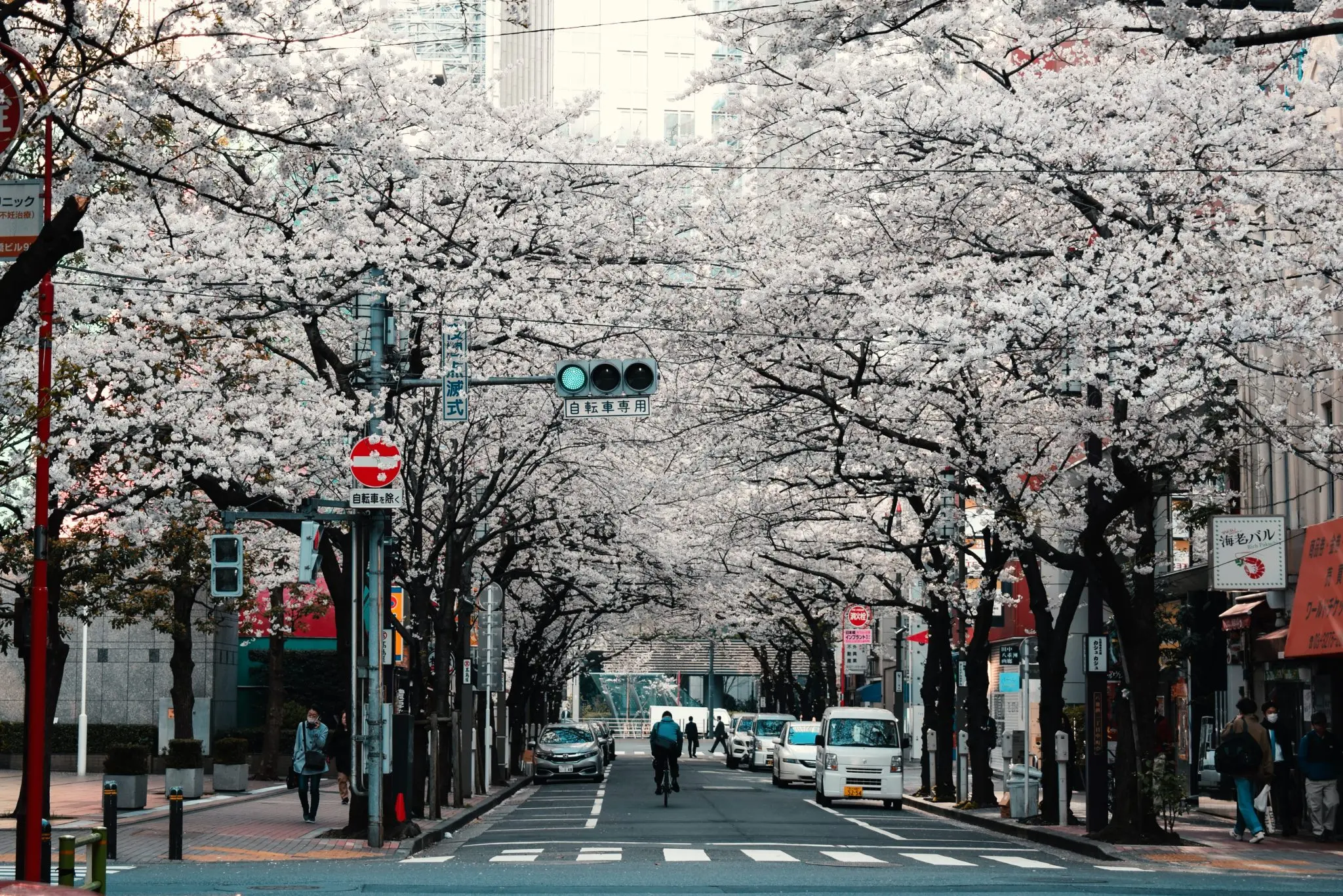 Day 2: Tokyo City Tour