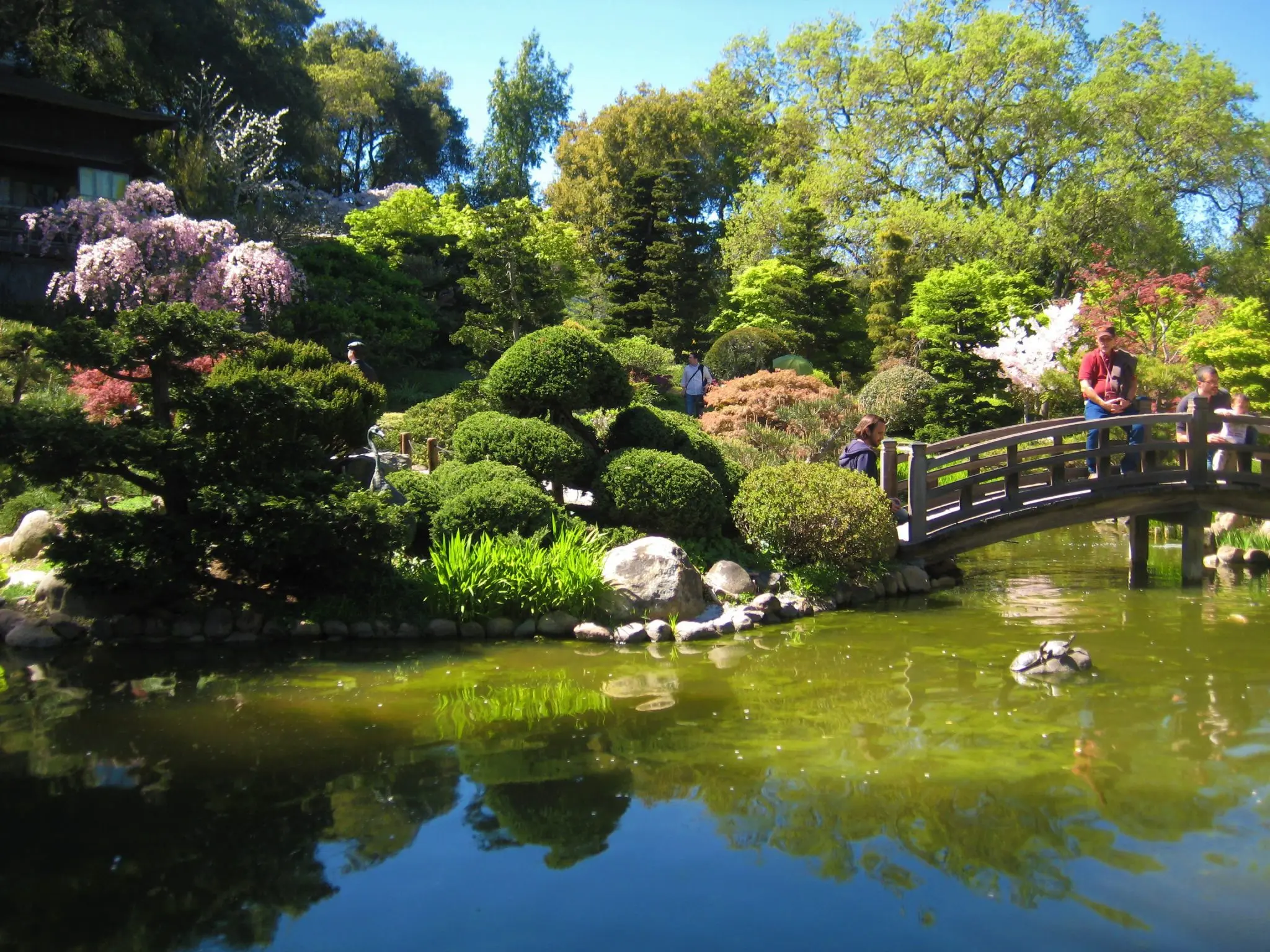 Day 3: Tokyo, Chureito Pagoda, Oshino Hakkai, Kawaguchiko